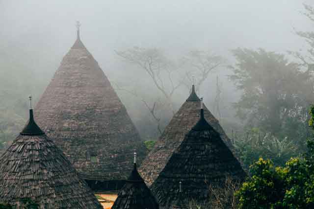 Detail ujung atap di Waerebo, Mang­garai, Flores. Atap yang kritis diper­lakukan ber­beda dengan penggunaan ijuk sebagai material yang ter­sedia di sekitar kam­pung.